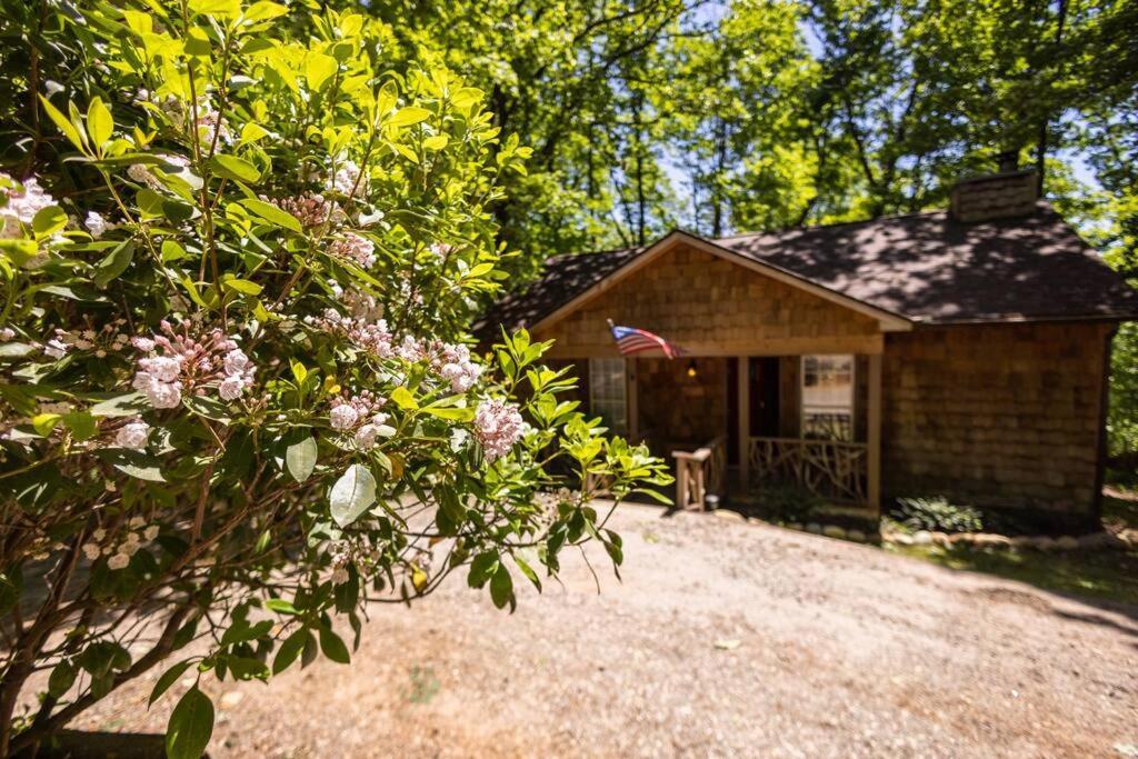 Pet Friendly Luxury Cabin Near Helen With Fire Pit Cleveland Exterior foto